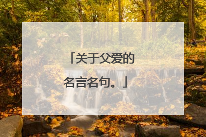 关于父爱的名言名句。