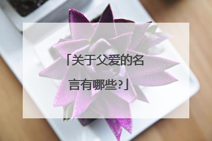 关于父爱的名言有哪些?