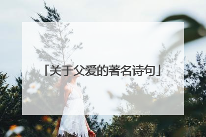 关于父爱的著名诗句
