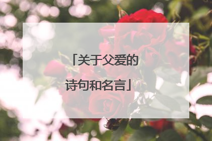 关于父爱的诗句和名言