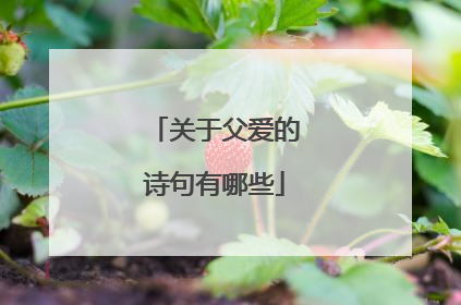关于父爱的诗句有哪些