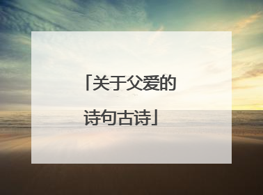 关于父爱的诗句古诗