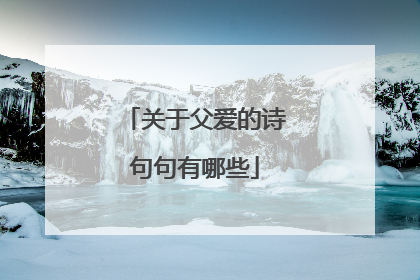 关于父爱的诗句句有哪些