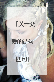 关于父爱的诗句四句
