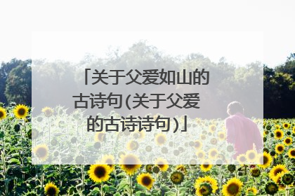 关于父爱如山的古诗句(关于父爱的古诗诗句)