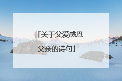 关于父爱感恩父亲的诗句