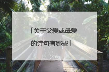 关于父爱或母爱的诗句有哪些