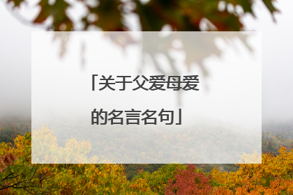 关于父爱母爱的名言名句