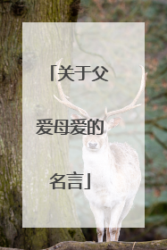 关于父爱母爱的名言