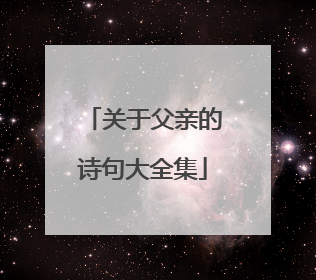 关于父亲的诗句大全集