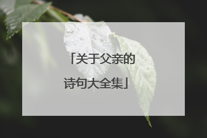 关于父亲的诗句大全集