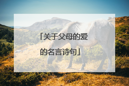 关于父母的爱的名言诗句