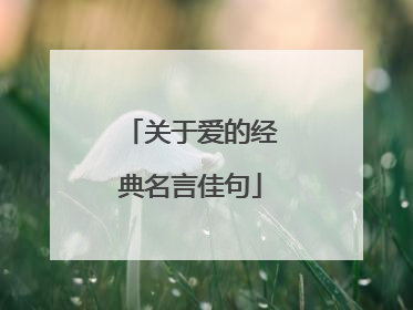 关于爱的经典名言佳句