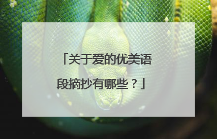 关于爱的优美语段摘抄有哪些?