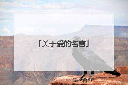 关于爱的名言