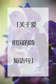 关于爱祖国的简短语句