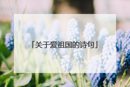 关于爱祖国的诗句