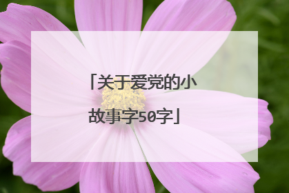 关于爱党的小故事字50字