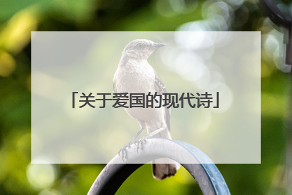 关于爱国的现代诗