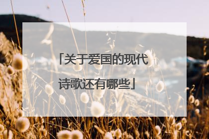 关于爱国的现代诗歌还有哪些