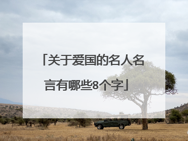 关于爱国的名人名言有哪些8个字