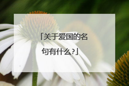 关于爱国的名句有什么?