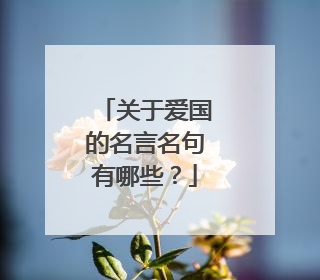 关于爱国的名言名句有哪些?