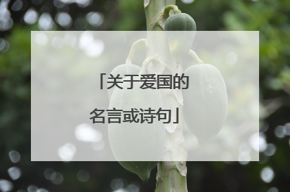 关于爱国的名言或诗句