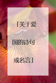 关于爱国的诗句或名言