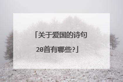 关于爱国的诗句20首有哪些?