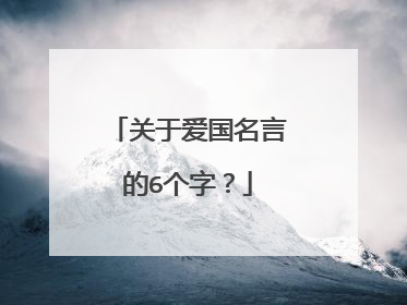 关于爱国名言的6个字?