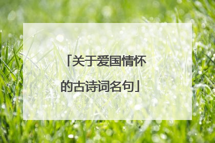 关于爱国情怀的古诗词名句