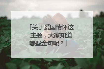 关于爱国情怀这一主题,大家知道哪些金句呢?