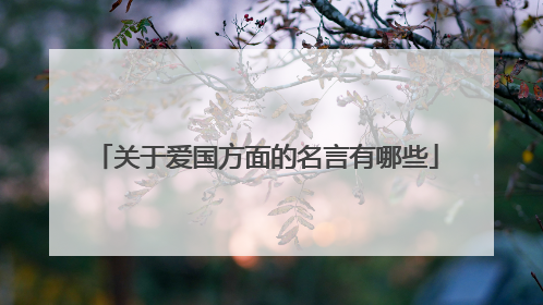 关于爱国方面的名言有哪些