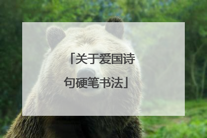 关于爱国诗句硬笔书法