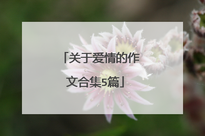 关于爱情的作文合集5篇