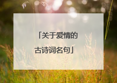关于爱情的古诗词名句