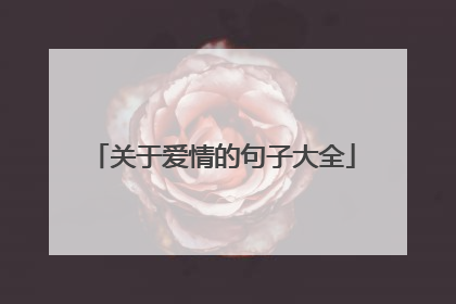 关于爱情的句子大全