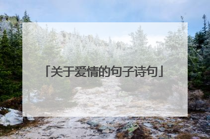 关于爱情的句子诗句