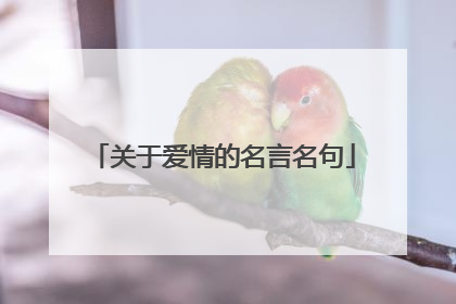 关于爱情的名言名句