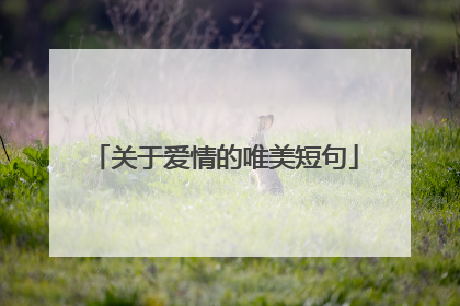 关于爱情的唯美短句