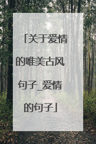 关于爱情的唯美古风句子_爱情的句子