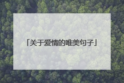 关于爱情的唯美句子