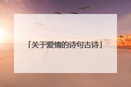 关于爱情的诗句古诗