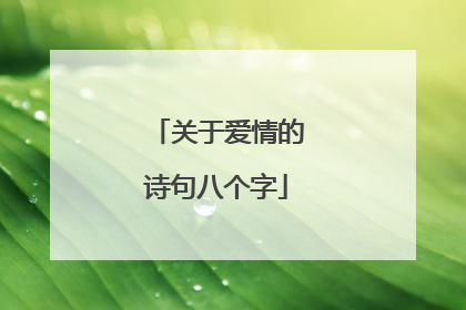 关于爱情的诗句八个字