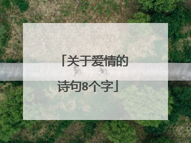 关于爱情的诗句8个字