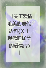 关于爱情唯美的现代诗句(关于现代的优美的爱情诗)