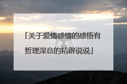 关于爱情感情的感悟有哲理深意的精辟说说