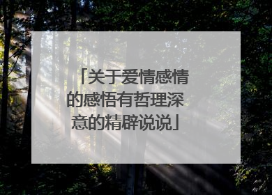关于爱情感情的感悟有哲理深意的精辟说说