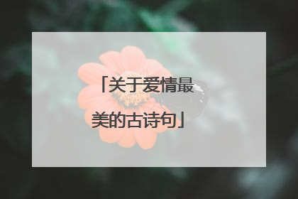 关于爱情最美的古诗句